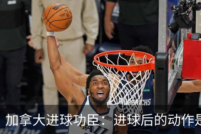 加拿大进球功臣：进球后的动作是给质疑我的媒体，他们可以闭嘴了