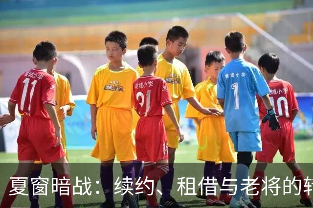 夏窗暗战：续约、租借与老将的转身夏天的足球转会市场，总是热闹得让人眼花缭乱