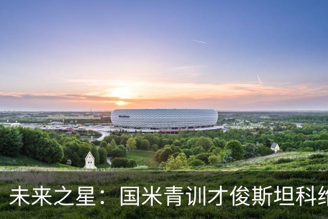 未来之星：国米青训才俊斯坦科维奇的抉择与挑战