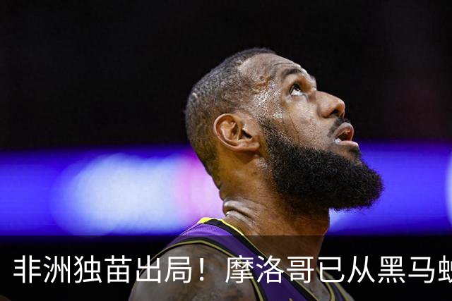非洲独苗出局！摩洛哥已从黑马蜕变为劲旅 四年后主场见