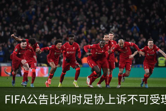 FIFA公告比利时足协上诉不可受理 理由是非程序当事方