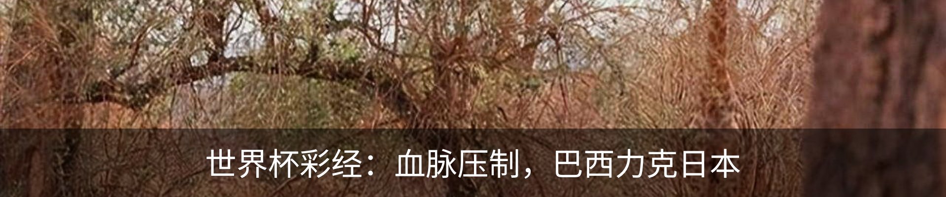 资讯中心