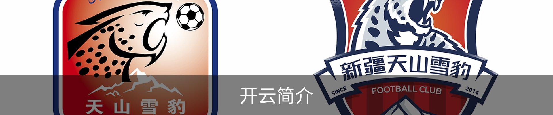 开云简介