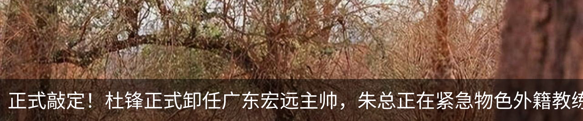 资讯中心