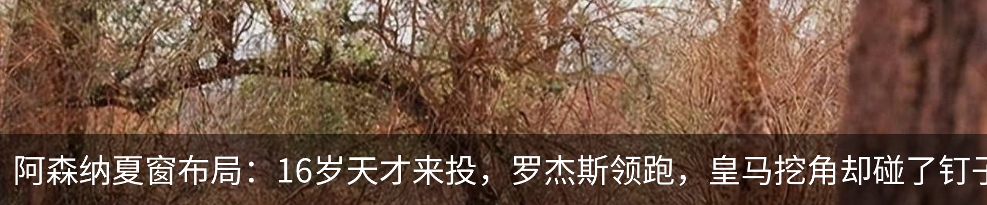 资讯中心