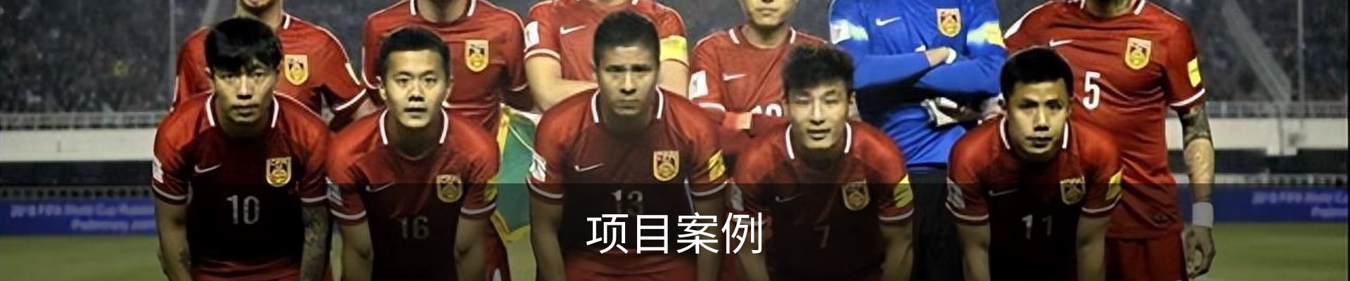 项目案例